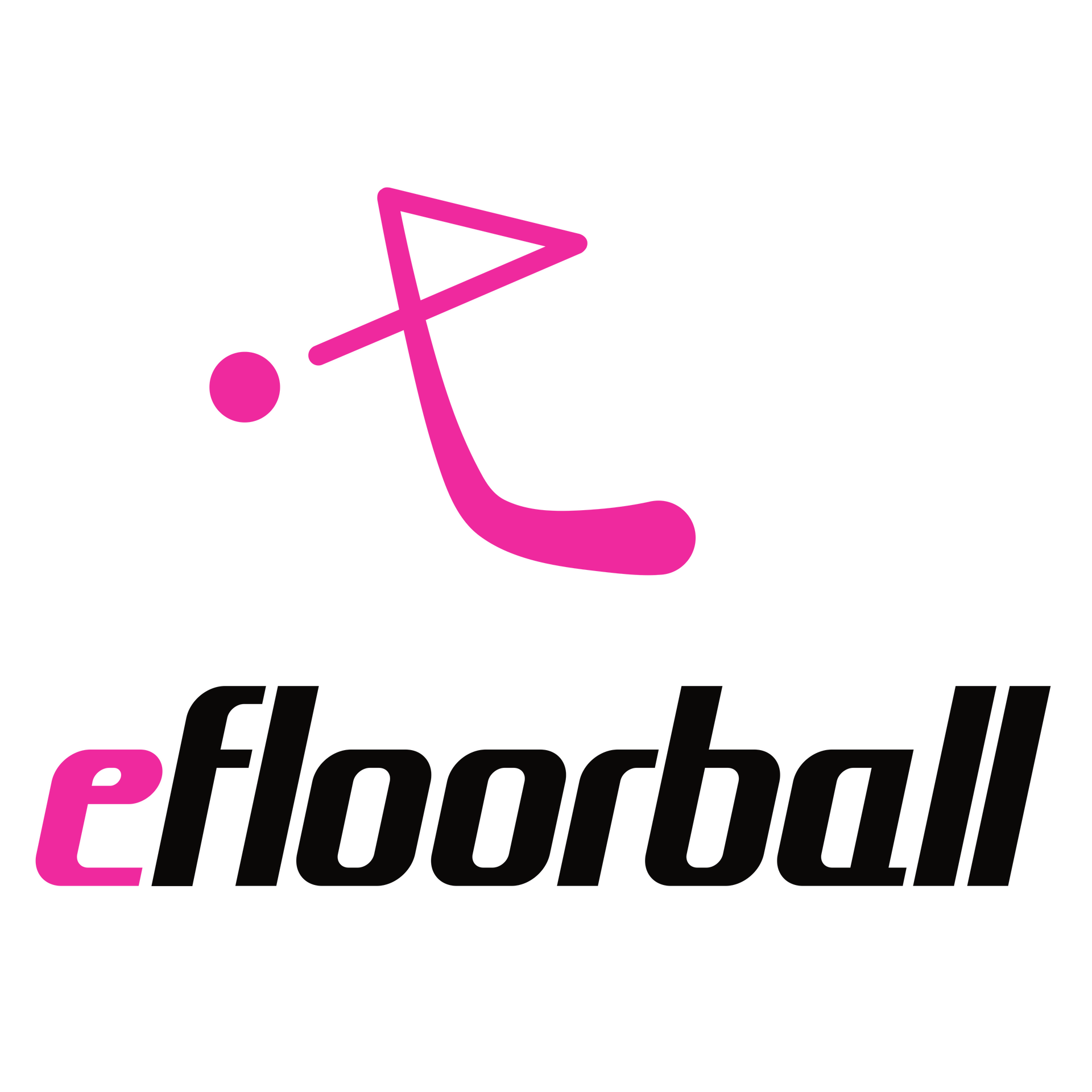 efloorball-1.png